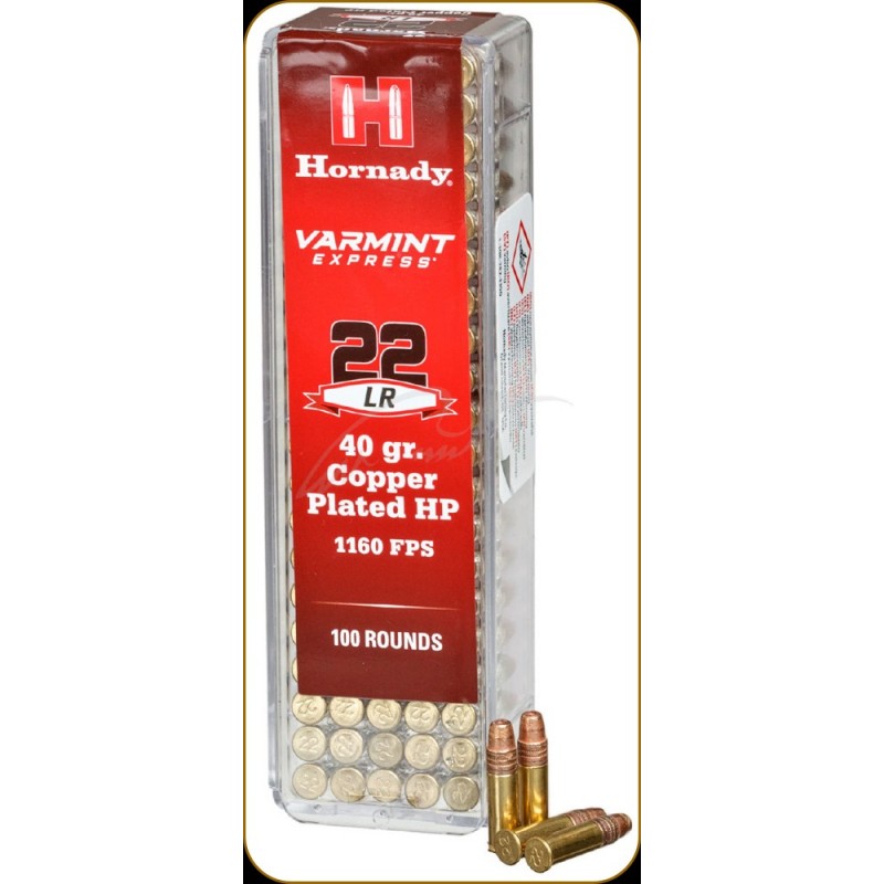 Hornady 22 LR HP
