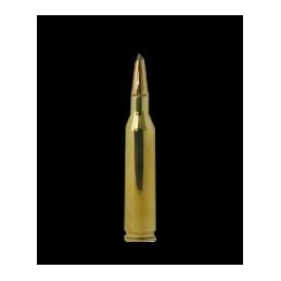 Winchester 243 Win. Super-X® Power-Point®