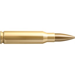 S&B 308 Win. 10 Siera   2200