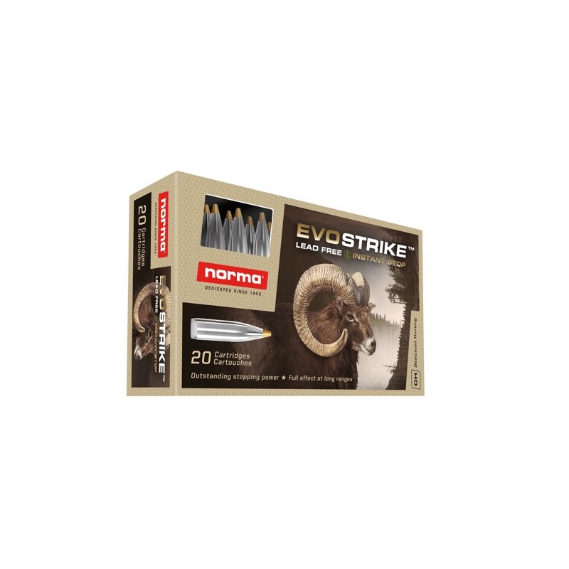 .30-06 Evostrike/9,0