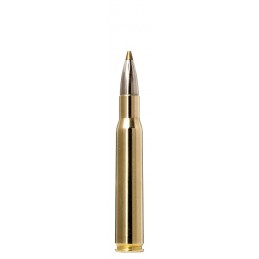 .30-06 Evostrike/9,0