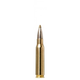 .308 Win. Evostrike/9,0