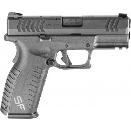 SF 19 3.8