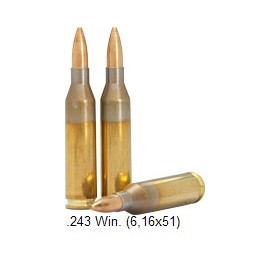 Lapua 243 Win. SP