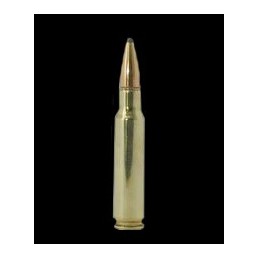 Winchester 308 Win 180 gr. Super-X® Power-Point®