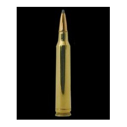 Winchester 300 Win.Mag.180 gr. Super-X® Power-Point®