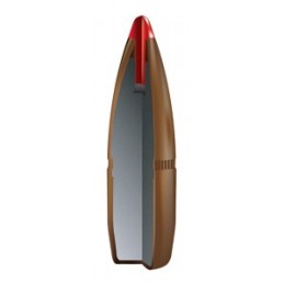 Hornady 45-70 GOVT 325 GR FTX LVREV