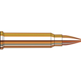 Hornady AMMO 17 HMR® 20 GR XTP®