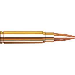 AMMO 308 WIN 178 GR BTHP