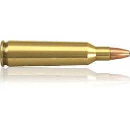 .22-250 Rem. 55 Oryx