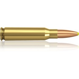 .308 Win. 180 PPDC
