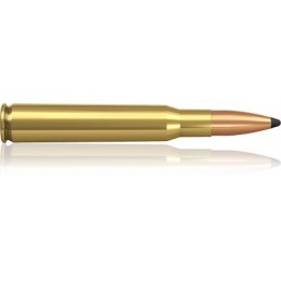 .30-06 180 PPDC