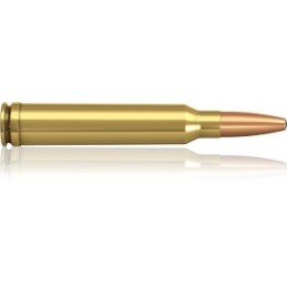 .300 Win. M. 200 Oryx