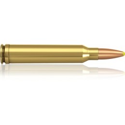 .300 Win. M. 180 PPDC