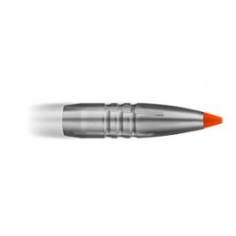 RWS  .308 Win. HIT/10,7