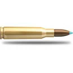 S&B 308 Win. eXergy Blue          2971